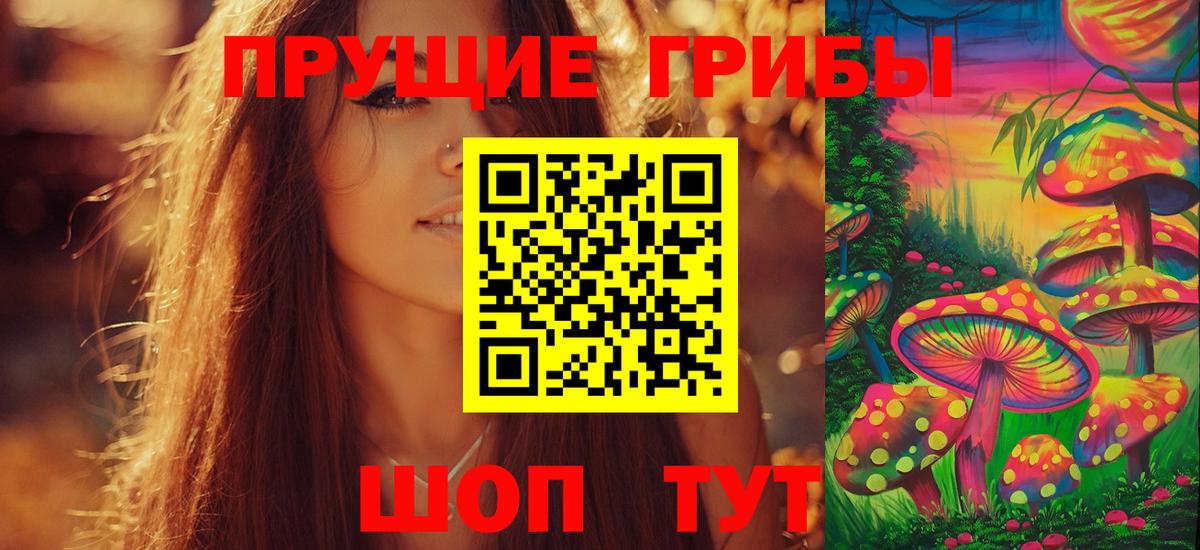 Каменка  Псилоцибиновые грибы Psilocybine cubensis  Вход с VPN 